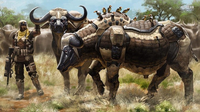 LCD党真的只是少部分人吗？